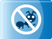 厦门除四害:老鼠,蟑螂,苍蝇,白蚁蚊子飞虫找福德平